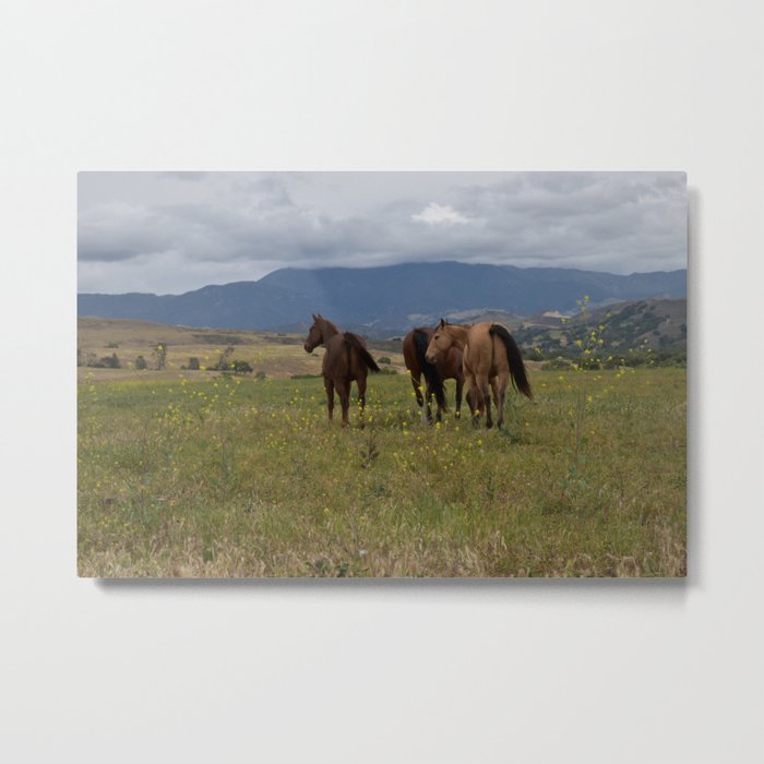 Horses of the Valley Metal Print