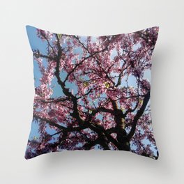 flower and light  - Cherry tree 4 Throw Pillow