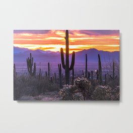 Arizona Sunset - Desert Cactus Metal Print | Tucson, Photo, Wanderlust, Nature, Arizona, Desert Vibes, Desert Cactus, Boho, Saguaro, Travel 