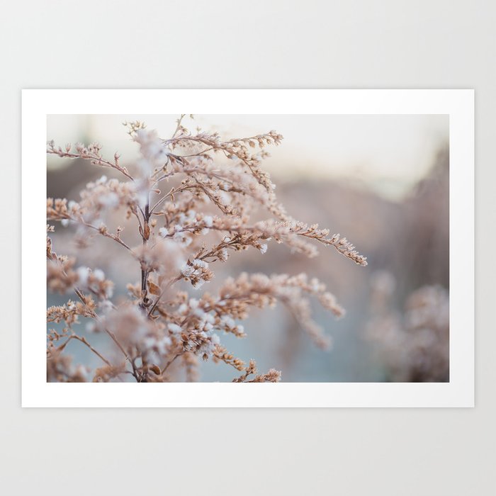 Frosted Art Print