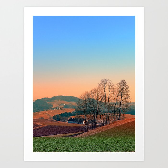 Trees Panorama And Sunset Landscape Photography Art Print By Trees Panorama And Sunset Landscape Photography Art Print