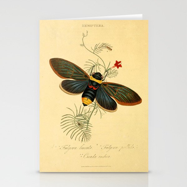 Cicada by Edward Donovan, 1800 (benefitting The Nature Conservancy) Stationery Cards