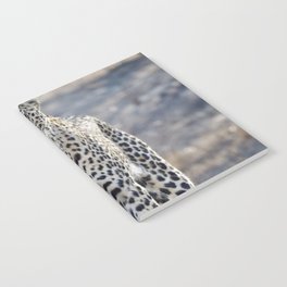 South Africa Photography - White Leopard In The Winter Weather Notebook