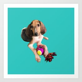 Coon Hound Art Prints For Any Decor Style Society6