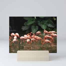 Pink Flamingoes Mini Art Print