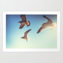 Floaters in Coney Island Art Print
