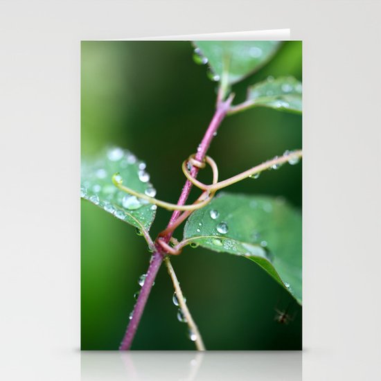 Twisted Stationery Cards