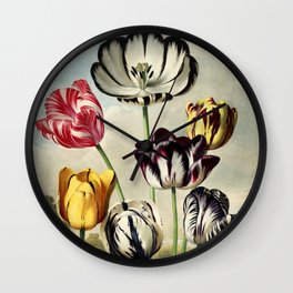 Tulips : Temple of Flora of New Illustration of the Sexual System Wall Clock