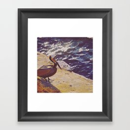 Pacific Pelican Framed Art Print