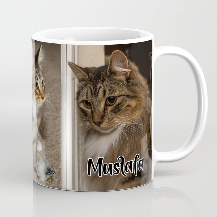 society6