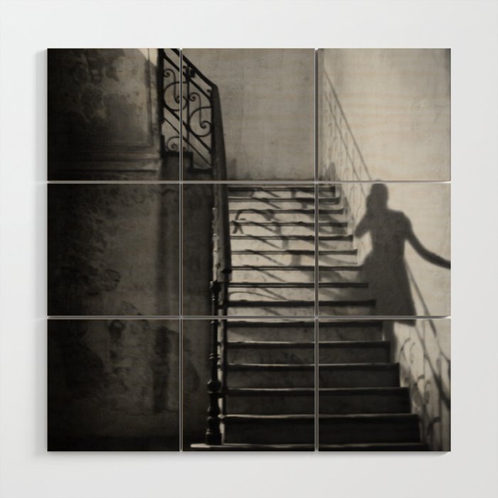 Ghosts and shadows of Paris lonely female shadow figure walking up stairs black and white photograph, photograhy, photographs Wood Wall Art