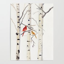 Birch Trees and Cardinal Poster