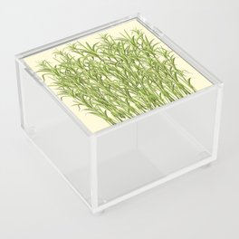 Sugar Cane Exotic Plant Pattern Acrylic Box