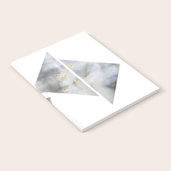 FLOWER Notebook