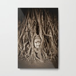 Buddha head in a Banyan Tree in Ayutthaya, Thailand Metal Print