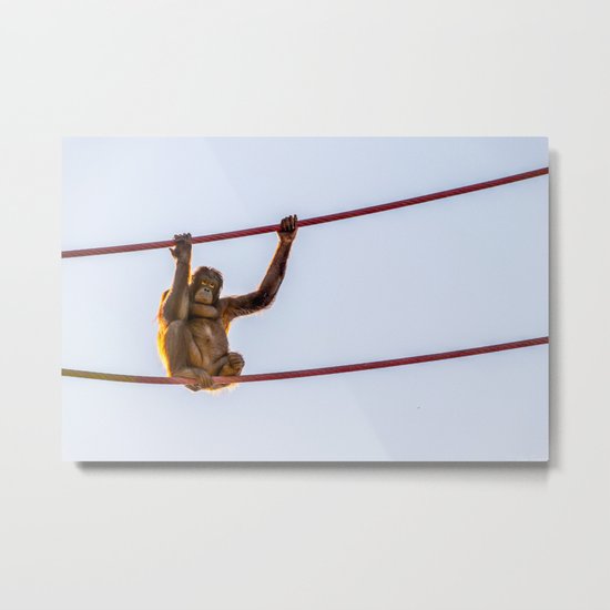 On the Wire Metal Print