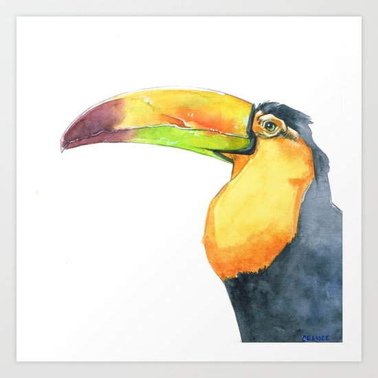 Toucan Art Print