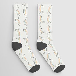 Rainbow Cat Socks
