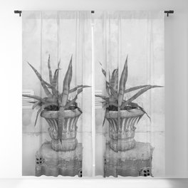 Agave Dream in Athens #2 #minimal #wall #art #society6 Blackout Curtain