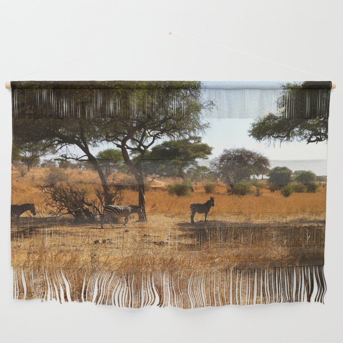 South Africa Photography - Zebras Under Acacia Trees  Wall Hanging