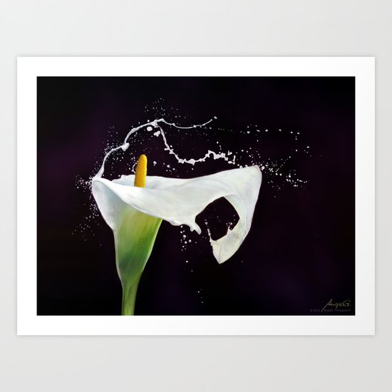 Iniuria Art Print