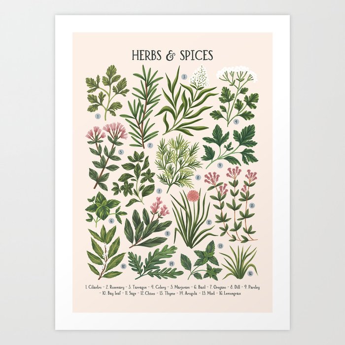 Herbs & Spices - beige Art Print
