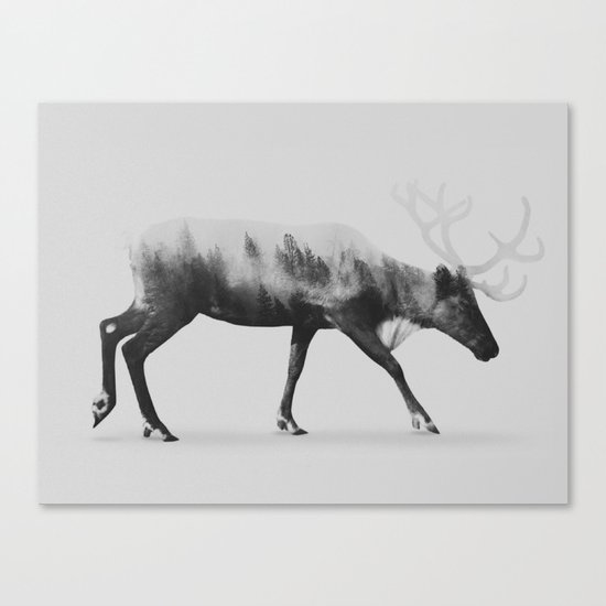 Reindeer (black & white version) Canvas Print