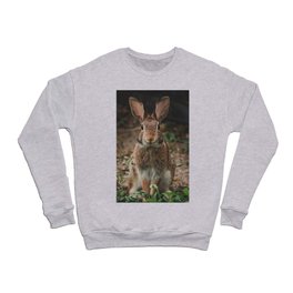 Bunny Rabbit Portrait Crewneck Sweatshirt