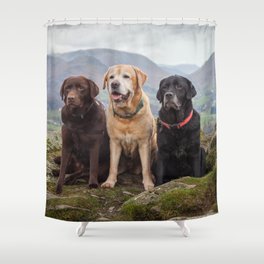 Labradors Shower Curtain