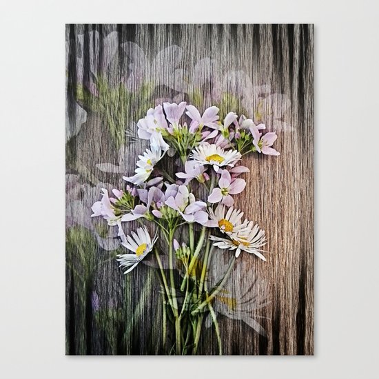 Cuckoo Daisies Canvas Print