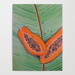 Bright Papayas on Leaf  Poster