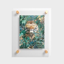 Tiger in the Gold Jungle wearing hip hop sunglasses Floating Acrylic Print