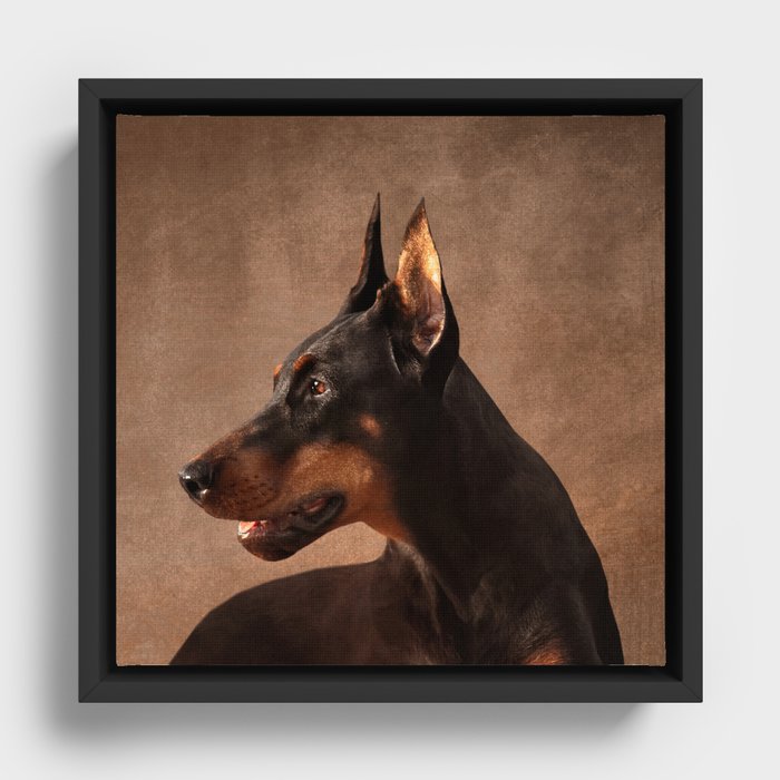 Framed Canvas