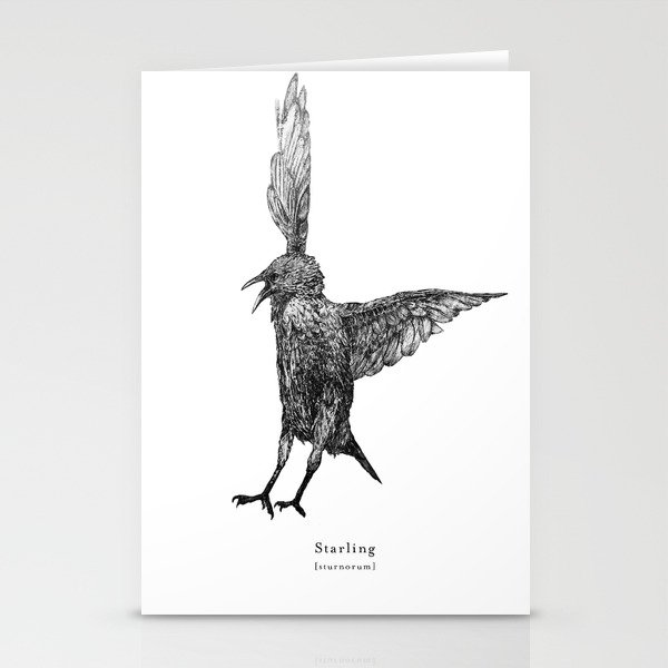 Starling bird Stationery Cards
