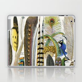 Adolphe Millot "Plumes - Feathers" Laptop Skin
