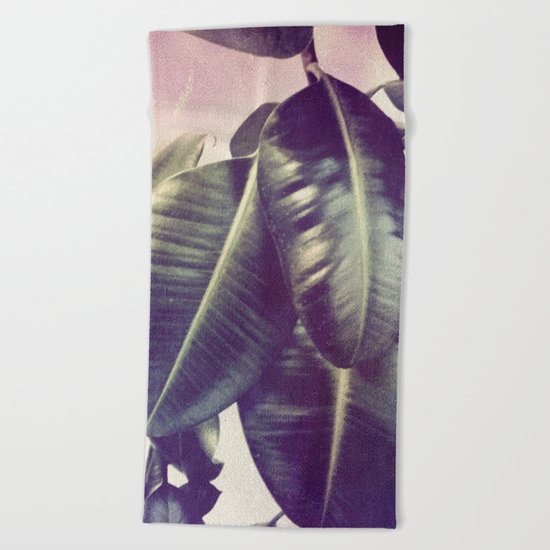 Ficus Elastica #2 Beach Towel