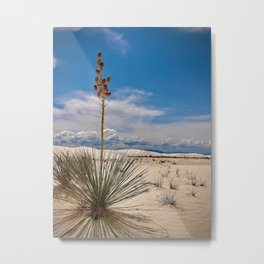 desert Metal Print