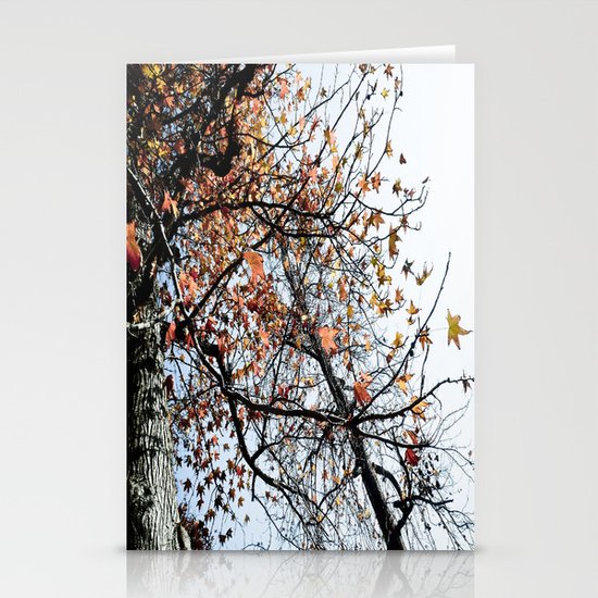 Fall II Stationery Cards