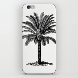 Vintage European Style Palm Tree Engraving iPhone Skin