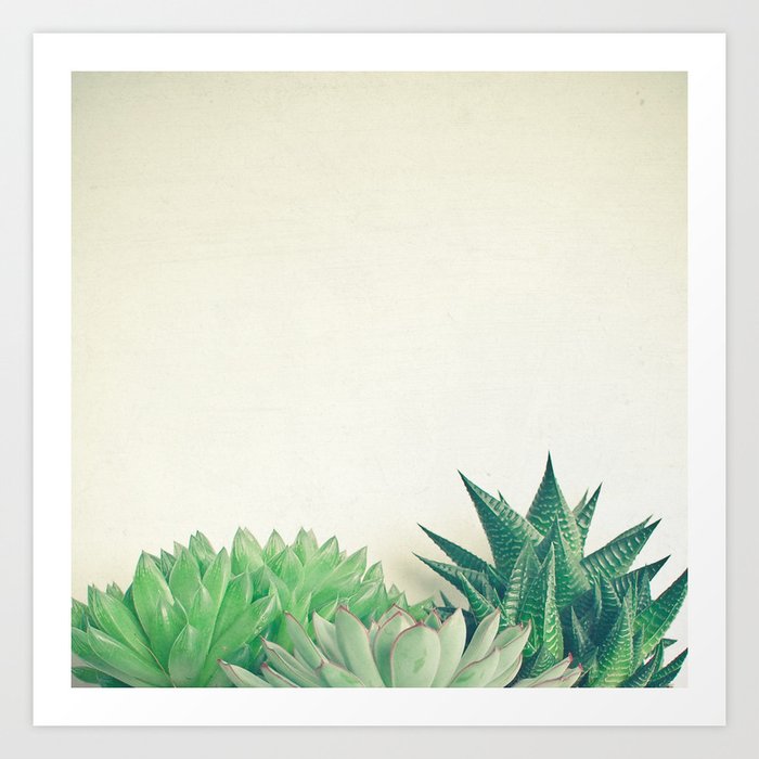 Succulent Forest Art Print