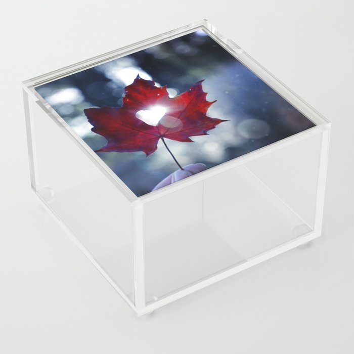 My heart lives in Nature! Acrylic Box