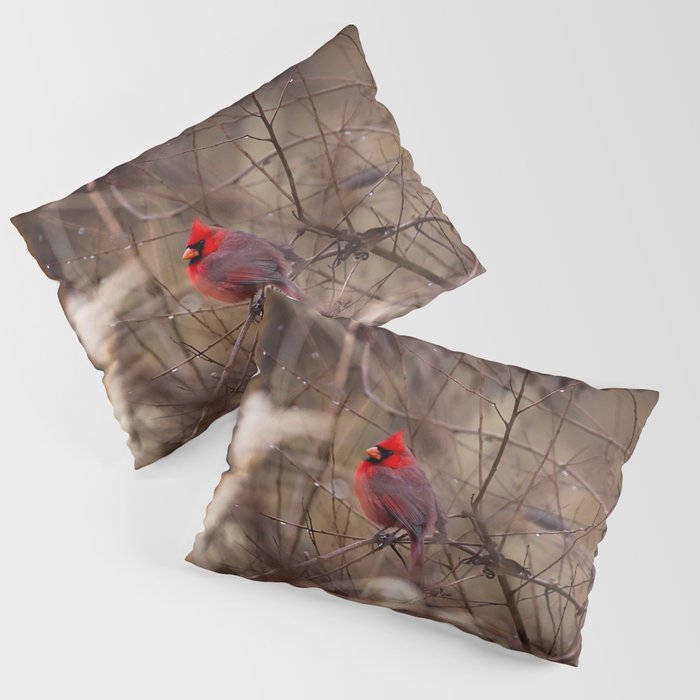 Cardinal - Bright Red Male Bird Rests in Raindrops Pillow Sham