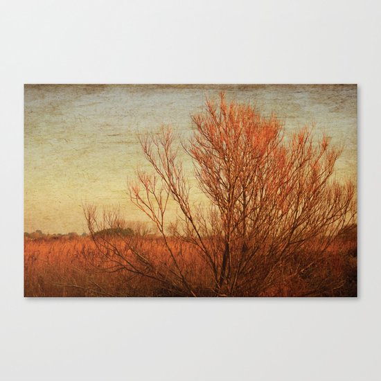 Autumn Canvas Print