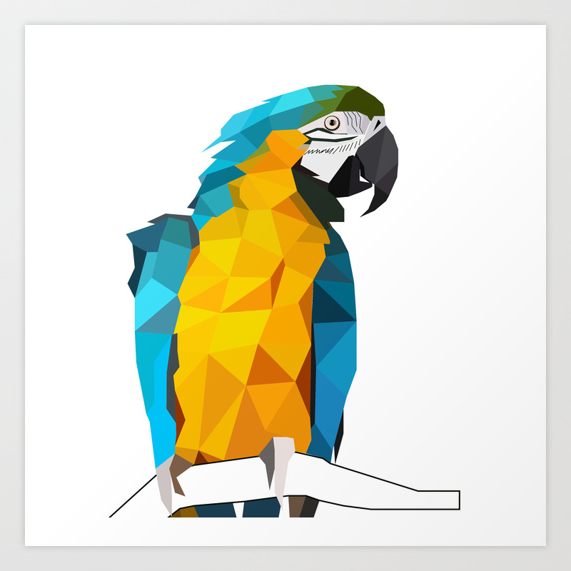 Macaw Geometric Bird Art Tropical Nature Art Print By Peraboom Society6
