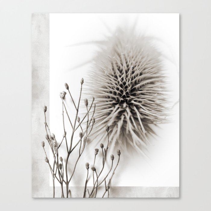 Black and White Nature Photograph Canvas Print