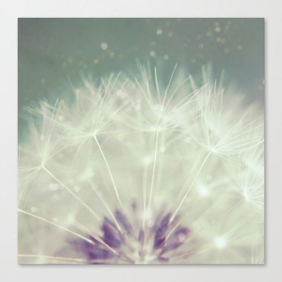Fluff Canvas Print