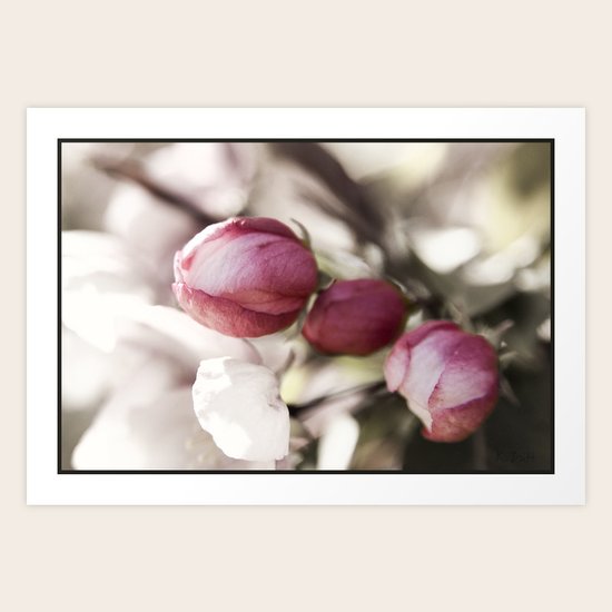 Spring Awakening Art Print