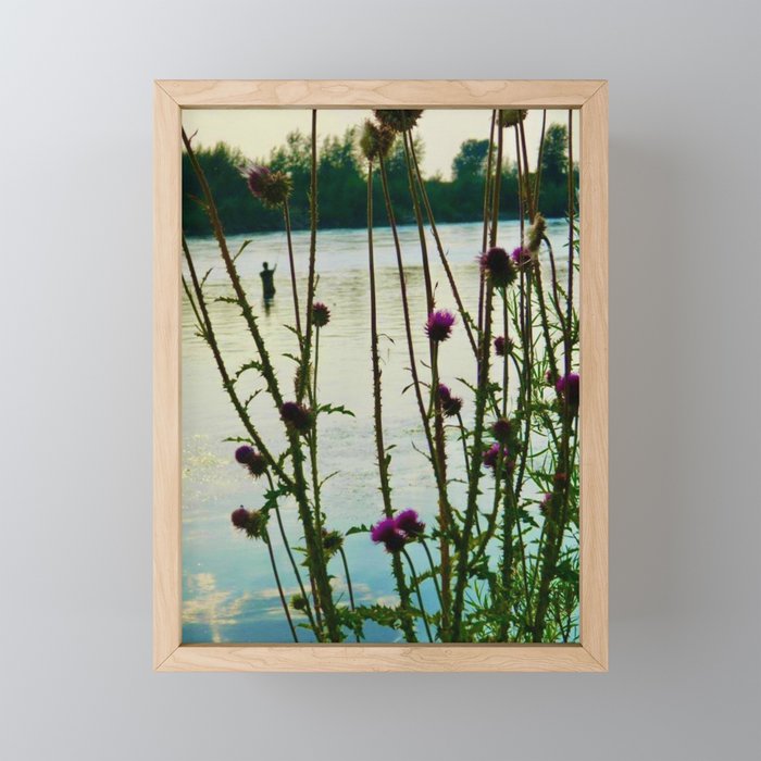 fisherman through thistle Framed Mini Art Print