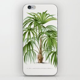 10 Les Palmiers Histoire iPhone Skin