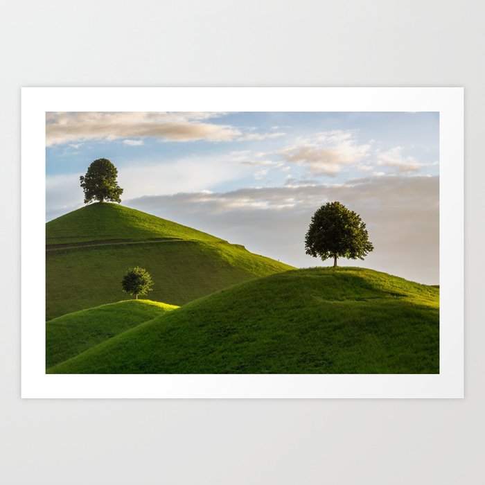 One Tree Hills, Ireland, Springtime, Emerald Isles Photograph Art Print